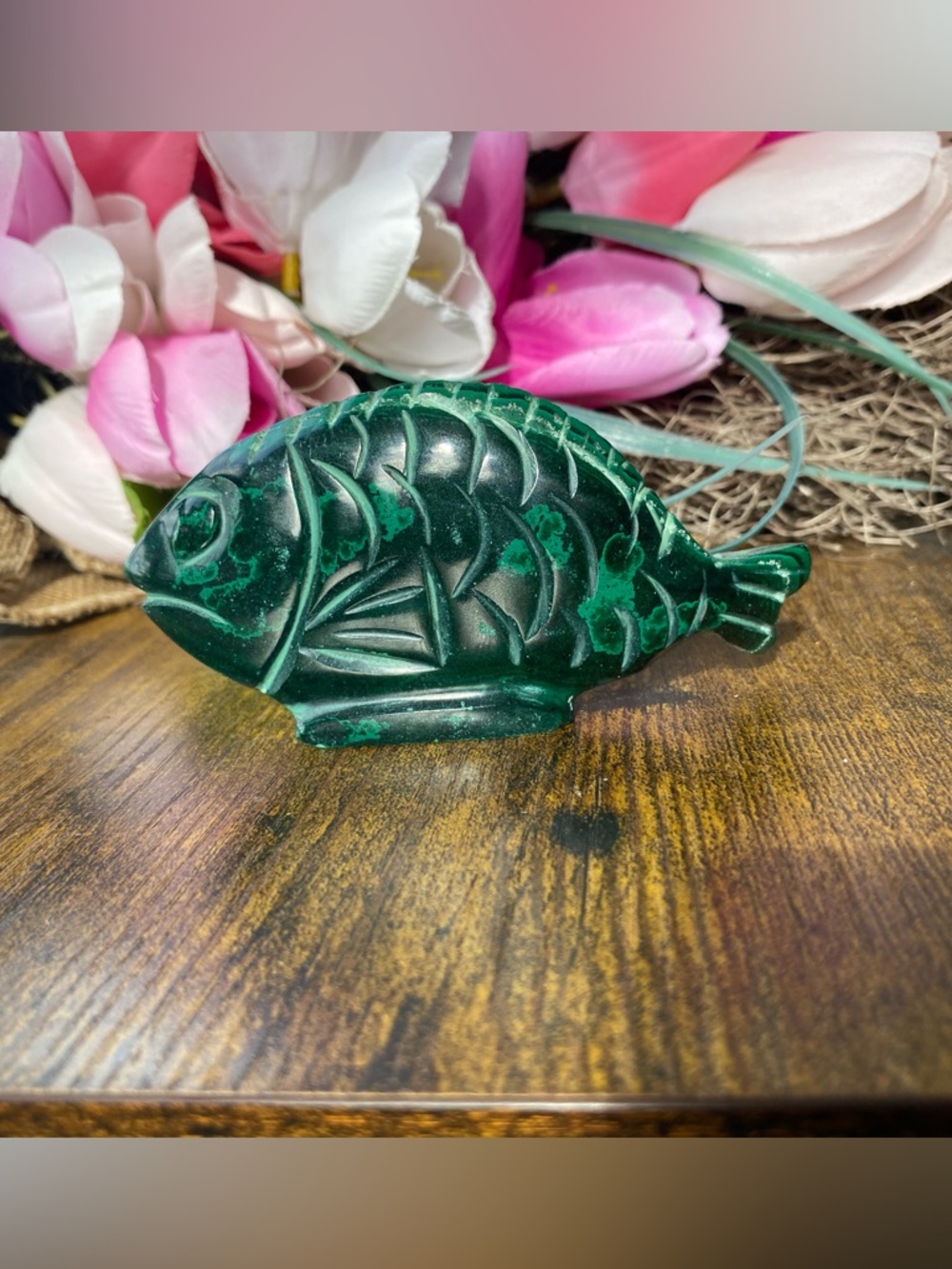 Malachite Fish